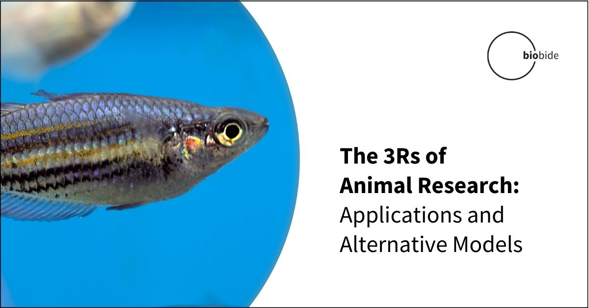 The 3Rs of Animal Research Applications & Alternative Models